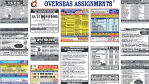Assignments Abroad Times Jobs